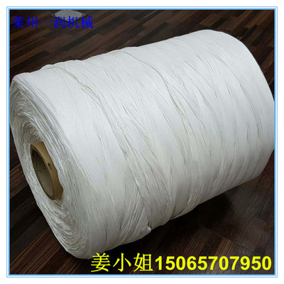 雙螺桿電纜填充繩大棚繩拉絲制繩生產(chǎn)設(shè)備 塑料填充繩生產(chǎn)線機械