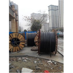 采購上海電線電纜回收,上海電纜線回收